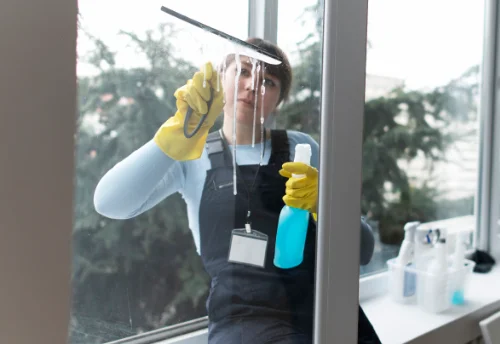 Nettoyage de vitres intérieures et extérieures à Puy-Guillaume